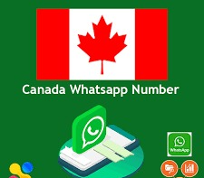WhatsApp üçün Kanada nömrəsi