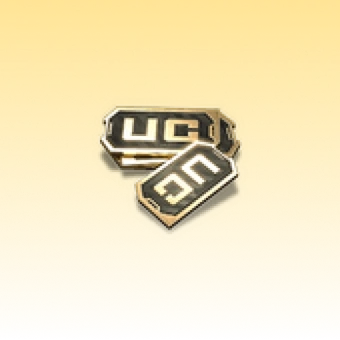 PUBG MOBILE UC 10